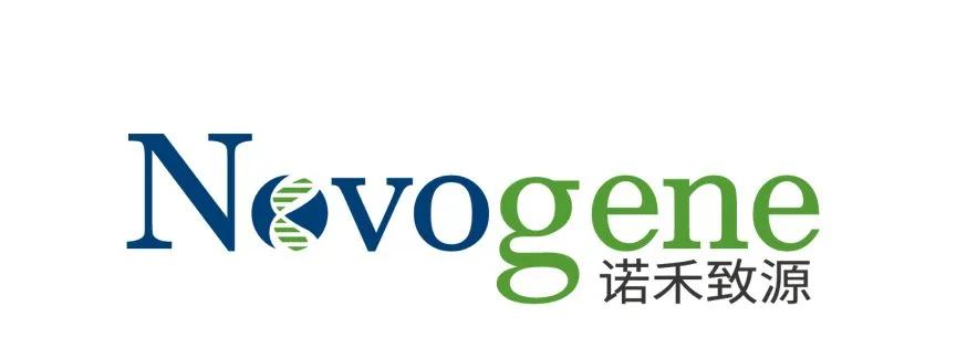 基因检测北京基因检测基因检测多少钱基因检测公司基因检测机构基因检测费用基因检测公司排名基云惠康dna